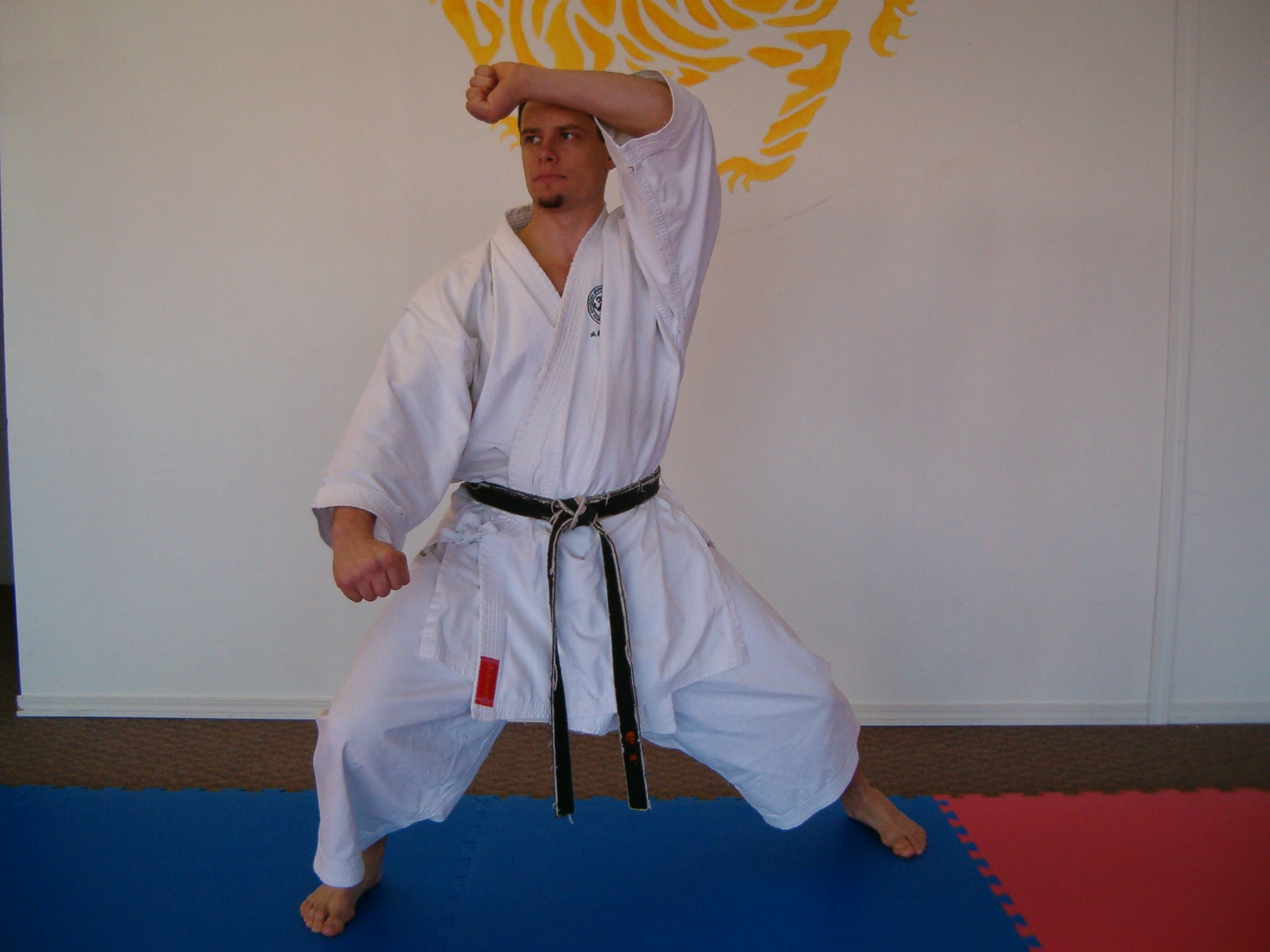 Sharp Sensei About Sensei Sharp – CONTROL CONCEPTS CANADA