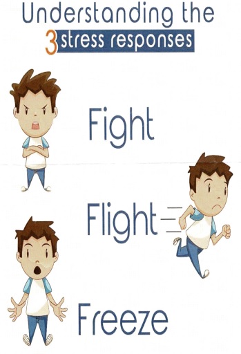 fightorflight
